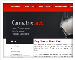 Carmatrix