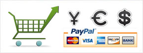 E-commerce Development and Integration